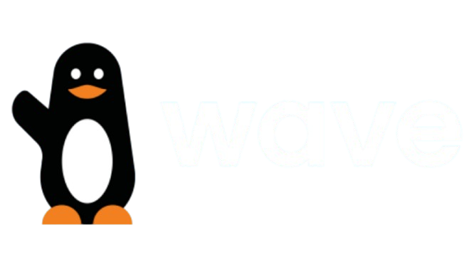 Paiement Wave